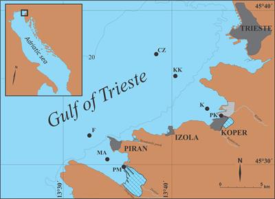 Sedimentary Record of Polycyclic Aromatic Hydrocarbons in the Gulf of Trieste (Northern Adriatic Sea) - Distribution, Origin and Temporal Trends